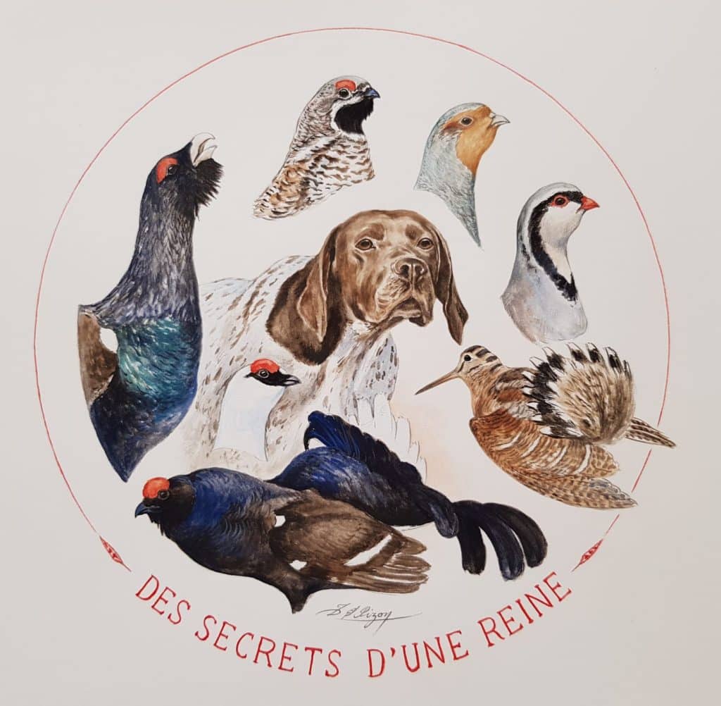 Logo Elevage Des Secrets d'une Reine – Braque français type Pyrénées